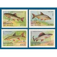  1997. Беларусь. 217-220. Фауна. Рыбы. 4 Марки., фото 1 