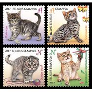  2017. Беларусь. 1169-1172. Фауна. Котята. 4 Марки., фото 1 