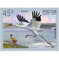  2019. 2436. Выпуск по программе «Европа». Птицы. Стерх, фото 1 