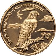  2 злотых 2008 «Сапсан (Falco peregrinus)» Польша, фото 1 