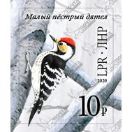  2020. ЛНР. 291А. Малый пёстрый дятел, фото 1 