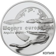  20 злотых 2003 «Угорь» Польша (копия), фото 1 