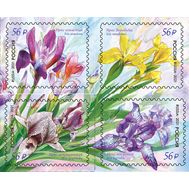  2021. 2741-2744. Флора России. Цветы. Ирисы. 4 марки, фото 1 