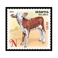  2024. Беларусь. 1556. Детеныши домашних животных. Телёнок, фото 1 
