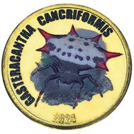  2 фунта 2024 «Рогатый паук» Чили (Остров Чилоэ), фото 1 