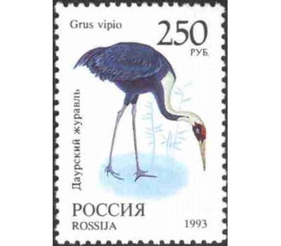  8 почтовых марок «Фауна мира» 1993, фото 8 
