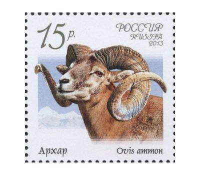  4 почтовые марки «Фауна России. Дикие козлы и бараны» 2013, фото 3 