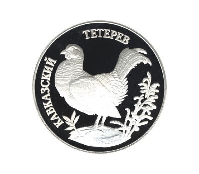  Серебряная монета 1 рубль 1995 «Кавказский тетерев», фото 1 
