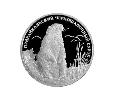  Серебряная монета 2 рубля 2008 «Прибайкальский черношапочный сурок», фото 1 