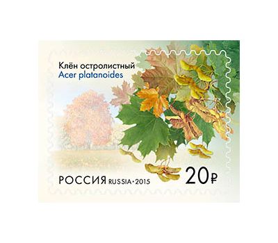  Сцепка «Флора России. Всероссийская эколого-патриотическая акция «Аллеи России» 2015, фото 4 