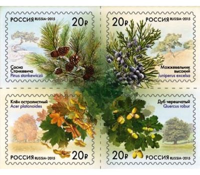  Сцепка «Флора России. Всероссийская эколого-патриотическая акция «Аллеи России» 2015, фото 1 