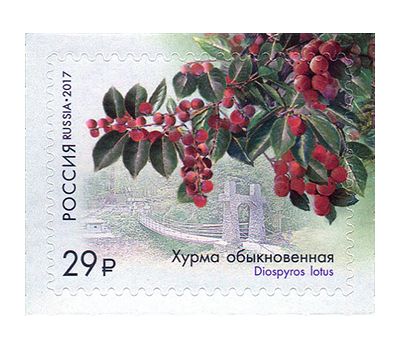  Лист «Флора России. К 125-летию Сочинского парка «Дендрарий» 2017, фото 4 