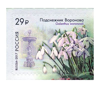  Лист «Флора России. К 125-летию Сочинского парка «Дендрарий» 2017, фото 2 