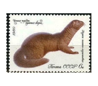  5 почтовых марок «Ценные породы пушных зверей» СССР 1980, фото 3 