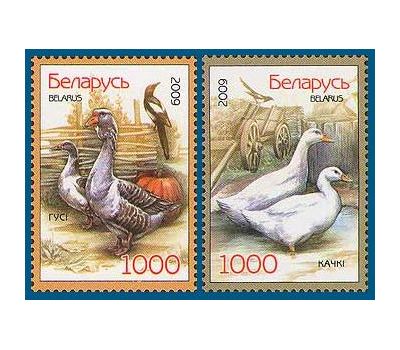  Почтовые марки «Фауна. Домашние птицы» Беларусь, 2009, фото 1 