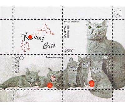  Почтовый блок «Фауна. Кошки» Беларусь, 2009, фото 1 