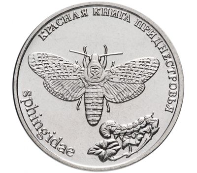  Монета 1 рубль 2018 «Красная книга — Бабочка Адамова голова» Приднестровье, фото 1 
