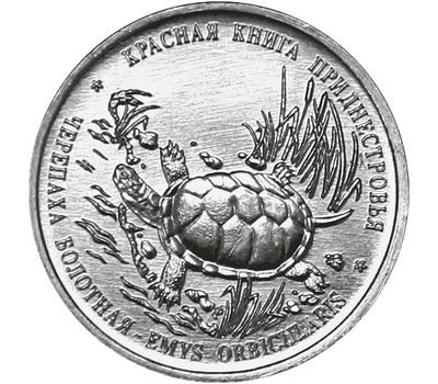  Монета 1 рубль 2018 «Красная книга — Болотная черепаха» Приднестровье, фото 1 