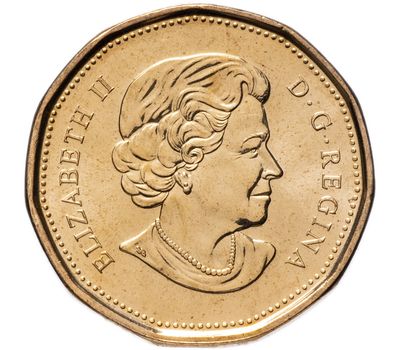  Монета 1 доллар 2011 «100 лет Центральному парку Канады» Канада, фото 2 