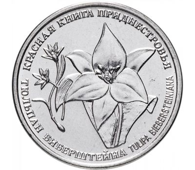  Монета 1 рубль 2019 «Красная книга — тюльпан Биберштейна» Приднестровье, фото 1 