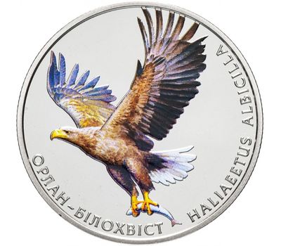  Монета 2 гривны 2019 «Орлан-белохвост» Украина, фото 1 