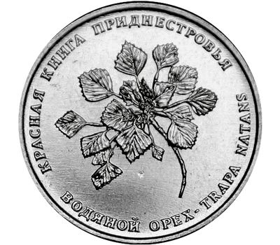  Монета 1 рубль 2019 «Водяной орех (чилим)» Приднестровье, фото 1 