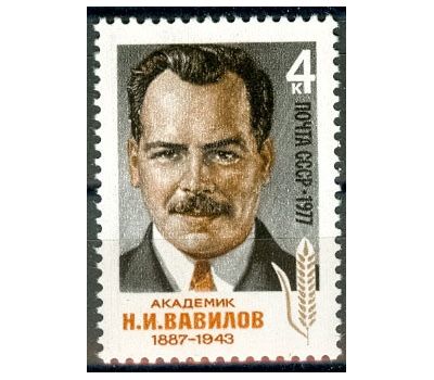  Почтовая марка «90 лет со дня рождения Н.И. Вавилова» СССР 1977, фото 1 