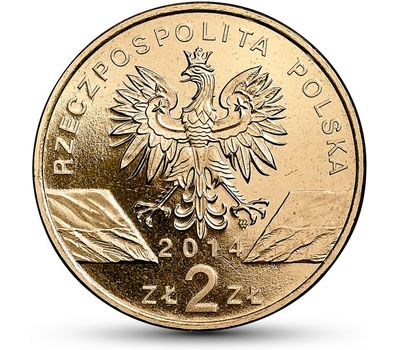  Монета 2 злотых 2014 «Польский пони» Польша, фото 2 