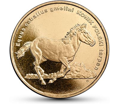  Монета 2 злотых 2014 «Польский пони» Польша, фото 1 