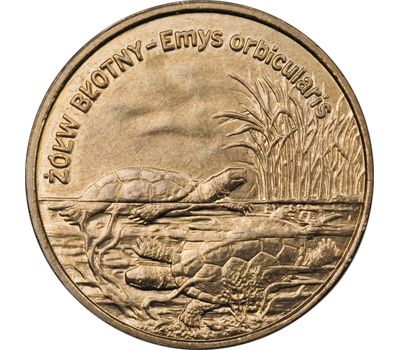  Монета 2 злотых 2002 «Болотная Черепаха (Emys orbicularis)» Польша, фото 1 