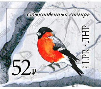  Почтовая марка «Обыкновенный снегирь» ЛНР 2020, фото 1 