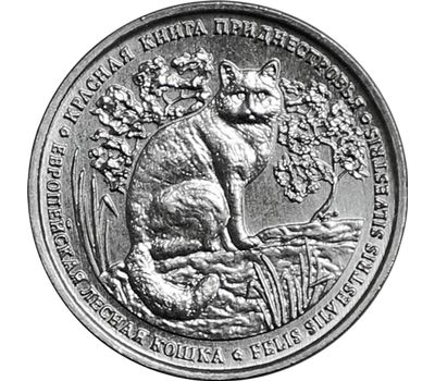  Монета 1 рубль 2020 «Европейская лесная кошка» Приднестровье, фото 1 