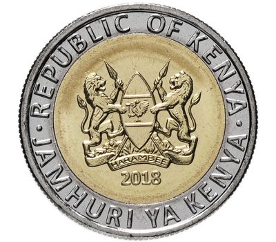  Монета 5 шиллингов 2018 «Носорог» Кения, фото 2 