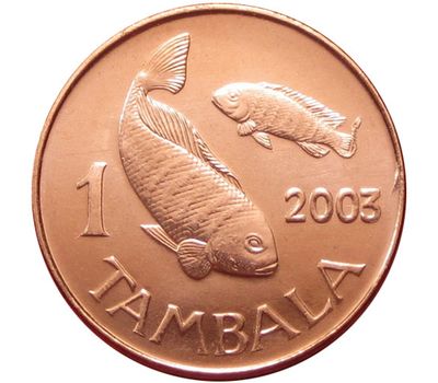  Монета 1 тамбала 2003 Малави, фото 1 