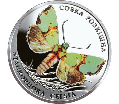  Монета 2 гривны 2020 «Совка роскошная» Украина (цветная), фото 1 