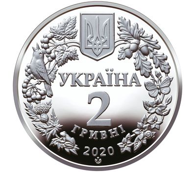  Монета 2 гривны 2020 «Совка роскошная» Украина (цветная), фото 2 