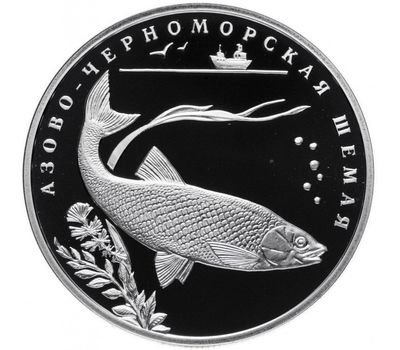  Серебряная монета 2 рубля 2008 «Азово-черноморская шемая», фото 1 
