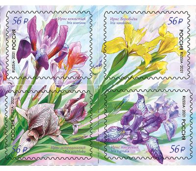  4 почтовые марки «Флора России. Цветы. Ирисы» 2021, фото 1 