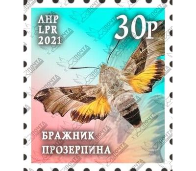  Почтовая марка «Бражник прозерпина» ЛНР 2021, фото 1 