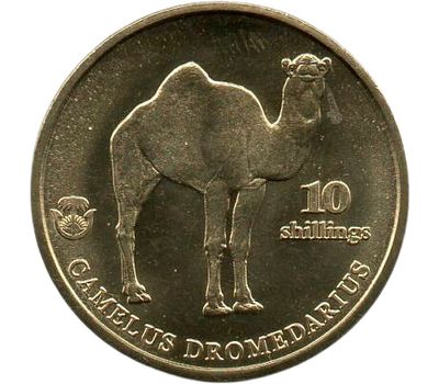  Монета 10 шиллингов 2021 «Верблюд» Биафра (Нигерия), фото 1 