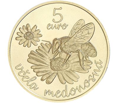  Монета 5 евро 2021 «Медоносная пчела» Словакия, фото 2 