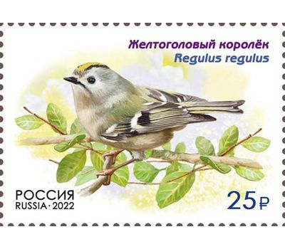  4 почтовые марки «Фауна России. Певчие птицы» 2022, фото 3 