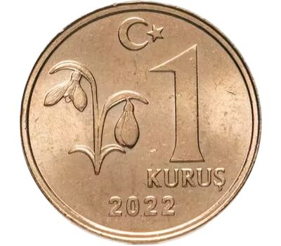  Монета 1 куруш 2022 Турция, фото 1 