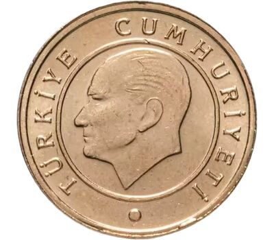  Монета 1 куруш 2022 Турция, фото 2 