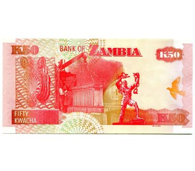 Банкнота 50 квач 2009 Замбия Пресс, фото 2 