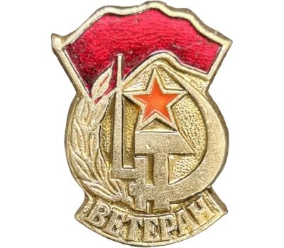  Значок «Ветеран Великой Отечественной Войны» СССР, фото 1 