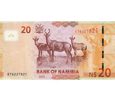  Банкнота 20 долларов 2022 «Президент Сэм Нуйома» Намибия Пресс, фото 2 
