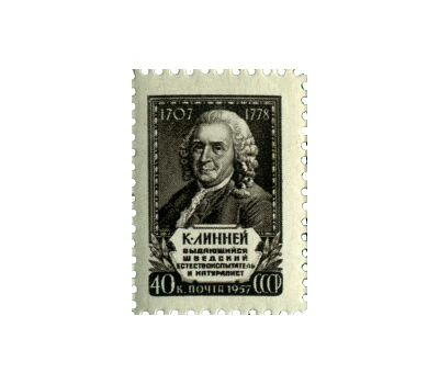  Почтовая марка «250 лет со дня рождения Карла Линнея» СССР 1958, фото 1 