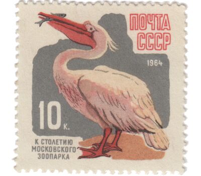  7 почтовых марок «100 лет Московскому зоопарку с перфорацией» СССР 1964, фото 3 