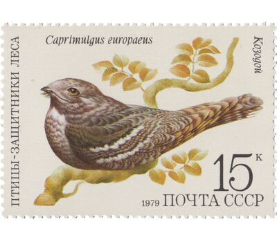  5 почтовых марок «Птицы — защитники леса» СССР 1979, фото 2 